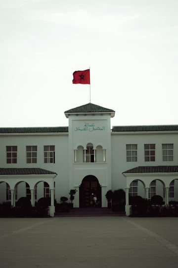 Proefles / Intakegesprek (Online) voor Volwassenen en Kinderen